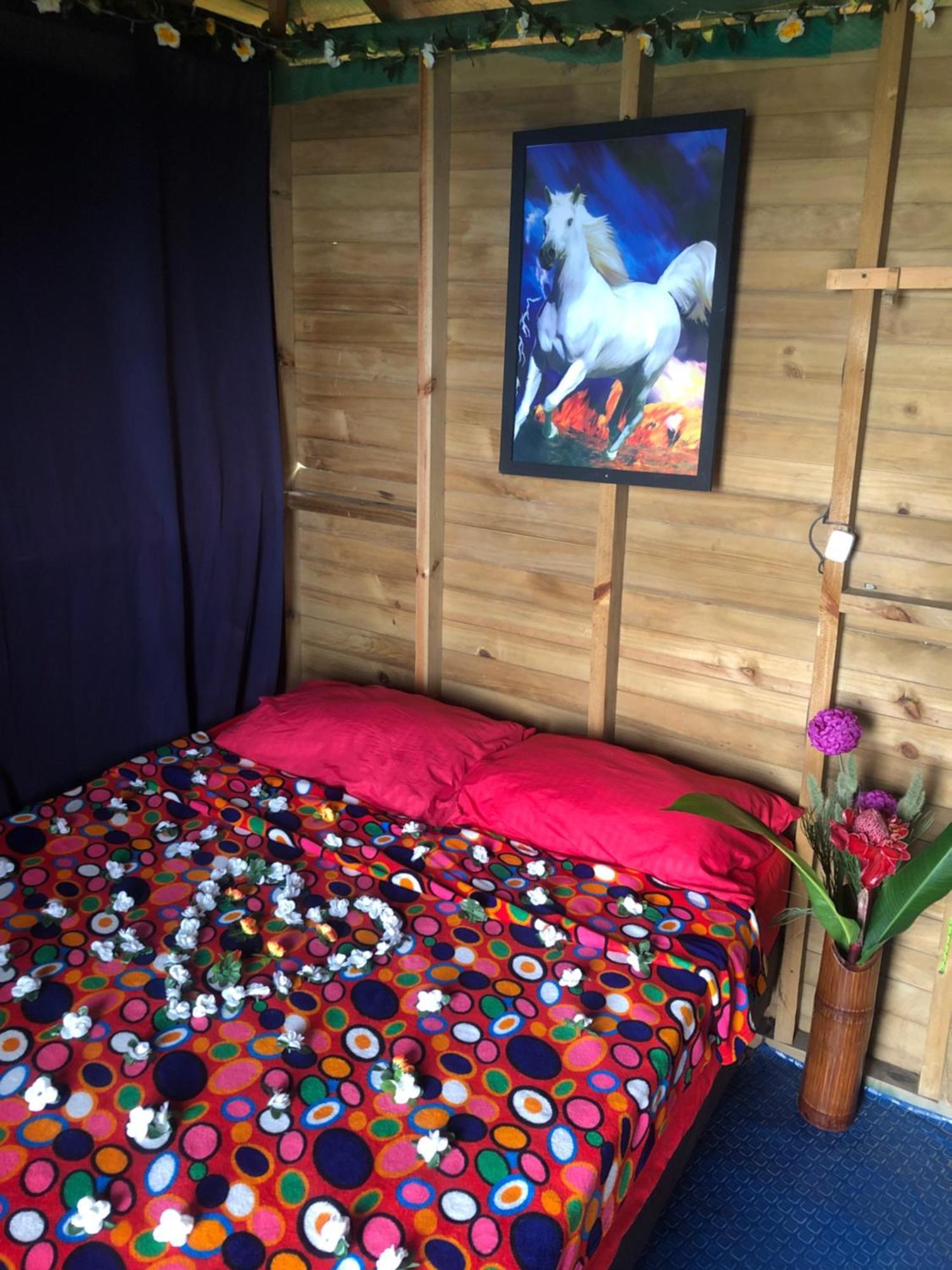 Miradores Del Oso Perezoso Minca Kamer foto