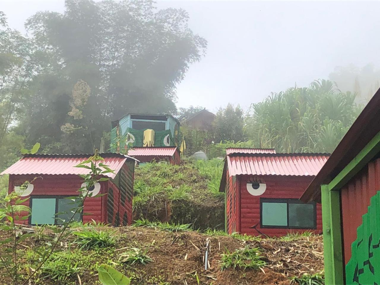 Miradores Del Oso Perezoso Minca Kamer foto