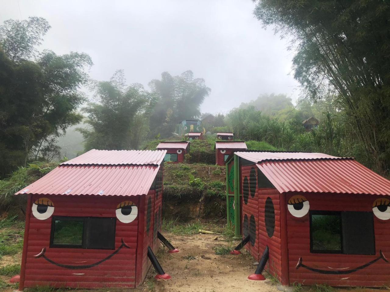 Miradores Del Oso Perezoso Minca Kamer foto