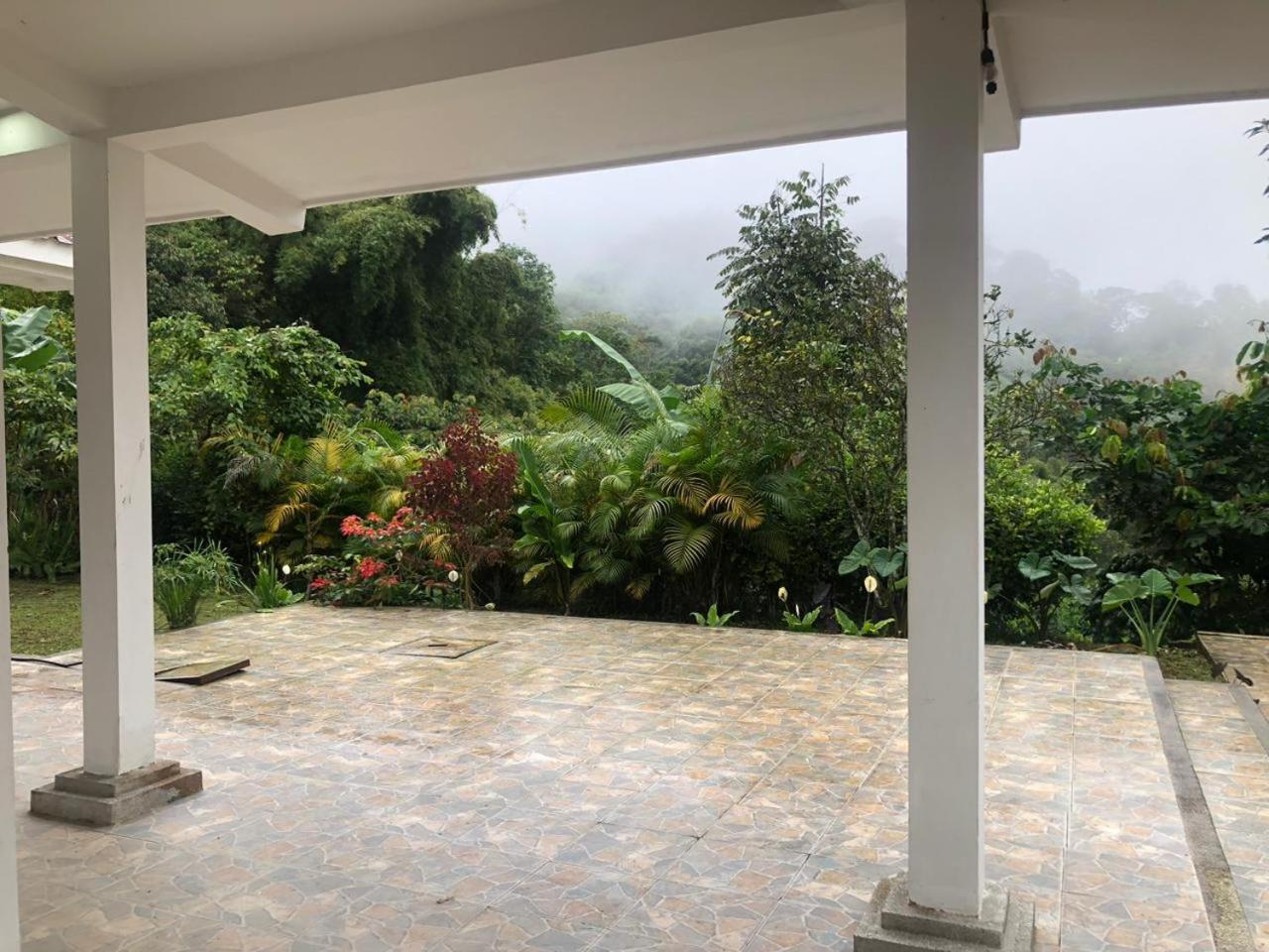 Miradores Del Oso Perezoso Minca Kamer foto