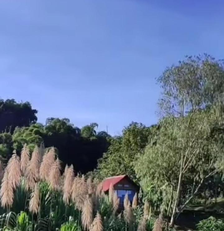 Miradores Del Oso Perezoso Minca Buitenkant foto