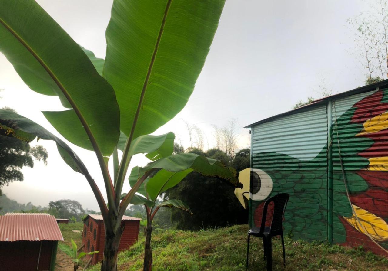 Miradores Del Oso Perezoso Minca Kamer foto