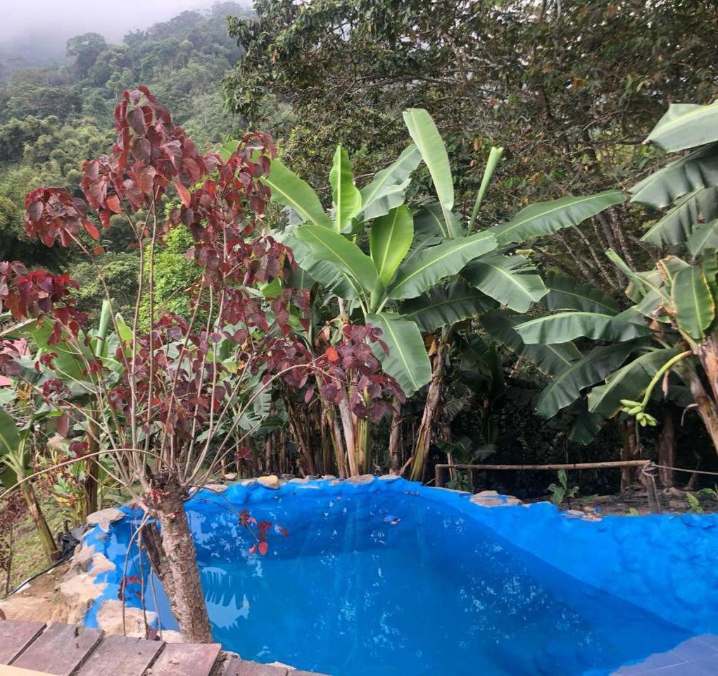 Miradores Del Oso Perezoso Minca Buitenkant foto