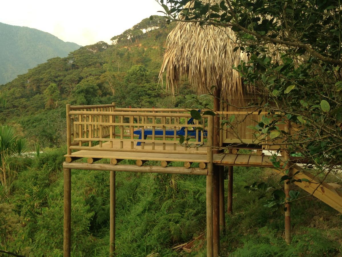 Miradores Del Oso Perezoso Minca Buitenkant foto